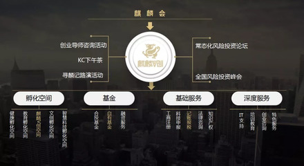 麒麟V創 構建天使投資生態，賦能創業服務新高度