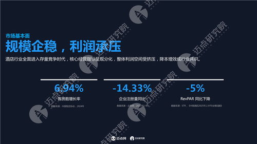 2025年中國酒店投資運營與品牌發(fā)展報告